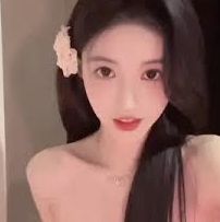 公司简介